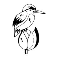 Trendy Kingfisher Bird vector