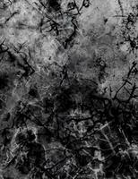 Abstract vector grunge surface texture background photo