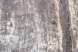 close up of a wood panel texture - Old wooden planks background with cracks and nails photo