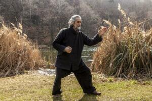 maduro hombre practicando Tai chi disciplina al aire libre foto