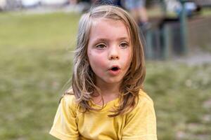 retrato de linda pequeño niña en un al aire libre parque foto