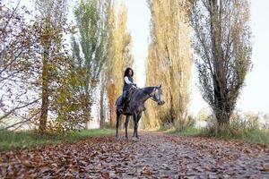 horsewoman rides his horse to the country roads in autumn photo