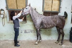 attractive lady rider grooms his horse before the ride photo