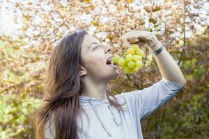 young beautiful girl sitting under a tree eating grapes photo