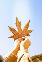 Female holding a big fall leaf against clear autumn sky. Sunny and warm fall day. Golden Autumn season. photo