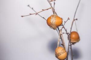 Spring time. Easter concept. Eggs hanging on branches photo