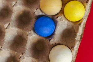 Colorful easter eggs in carton photo