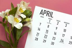 April monthly calendar and spring flower photo