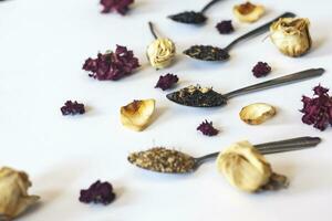 Variety of dry tea in spoons on the white. An assortment of dry tea. Different herbal wellness dried teas. Dry tea leaves on white photo