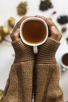 invierno tiempo. mujer Bebiendo caliente té durante frío invierno vacaciones. mujer con un taza de té foto