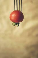 Little cherry tomato on fork photo