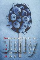 July calendar. Stack of frozen sweet cherries with July month calendar. Summer photo