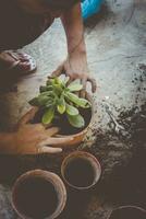 Female planting home plants. Young middle eastern woman planting flower in the pot. Girl gardening. House wife transplanting plant into a new pot photo