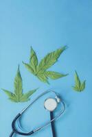 Marijuana leafs and healthcare, medicine concept. Medical marijuana and stethoscope photo