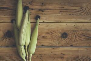 Fresh raw corn cobs on wooden background. Raw corn with skin photo