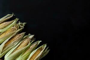 Corns on the Cob on black photo