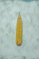 Single Corn on bright background photo