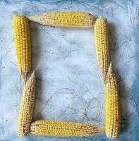 Letter O made with corns photo