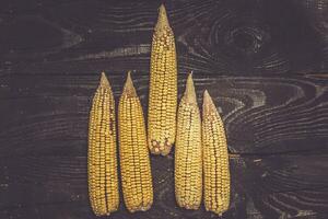 Corns on black wood photo