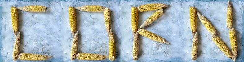 Corn word made with shucked raw corns. photo