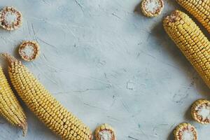 Sweet corns background with copy space for text photo