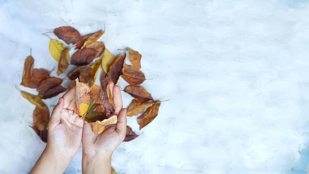 mujer participación otoño hojas. otoño concepto en brillante antecedentes foto