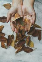 mujer participación otoño hojas. otoño concepto en brillante antecedentes foto