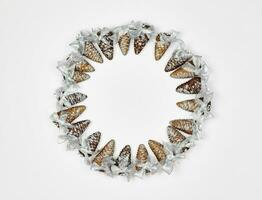 A pine cone wreath on white photo