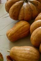 Rustic autumn pumpkins photo