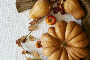 Cozy autumn background with pumpkin photo