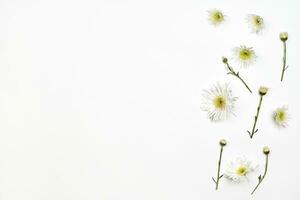 Bright spring flowers on white photo