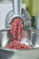 Electric meat grinder photo