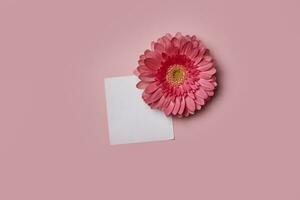 Flowers and blank paper photo