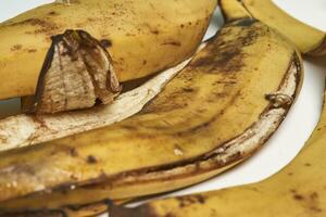 Banana peels or banana skin photo