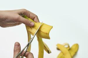 Making banana peel fertilizer photo