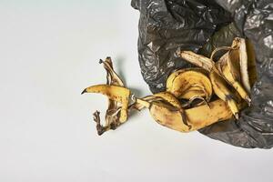 Banana peels in trash can photo