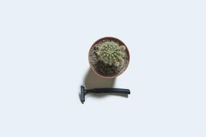 Cactus plant and disposable razor blade photo