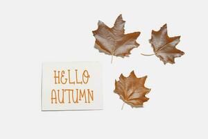 Hello autumn concepts with fall leaves photo