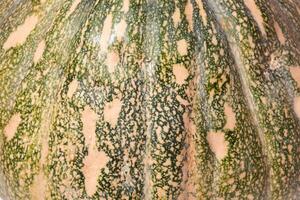 Macro shot of pumkin surface photo