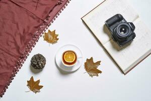 Autumnal background with fall leaves photo