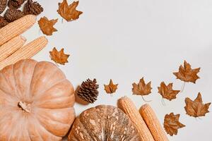 Autumnal background with harvest fall vegetables and autumnal leaves photo