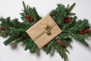 Branches of spruce tree with pine cones photo