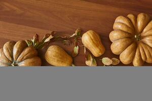 Autumn background with pumpkins photo