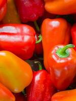 Background of fresh juicy ripe bell pepper. Healthy food concept. Close-up. photo