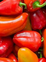 Background of fresh juicy ripe bell pepper. Healthy food concept. Close-up. photo