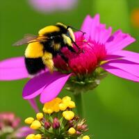 A bumblebee collects nectar on bright flowers. The image was created using generative AI. photo