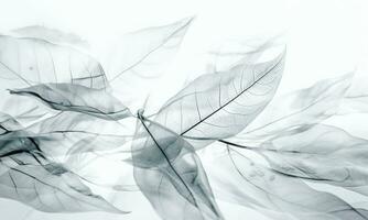 Ethereal Leaves Of White Background. AI Generated. Pro Photo