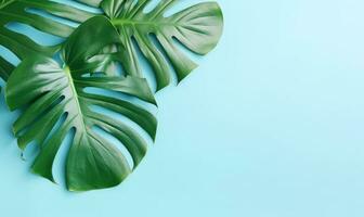 Tropical monstera leaves on a pastel blue background. Created by generative AI photo