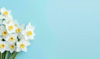 A narcissus flowers bouquet on a pastel blue background with empty copyspace. Mother's Day concept. Created by generative AI photo