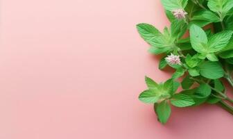 Close-up of fresh mint leaves. Created by AI photo